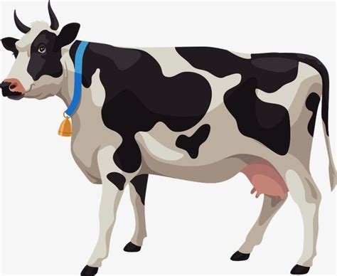 Black and White Cow Vector