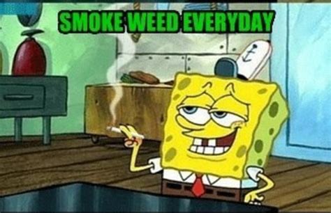 spawngggg | Smoke Weed Every Day | Know Your Meme