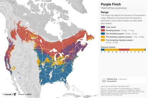 Purple Finch Range Map · Backyard Birds: North American Ornithology ...