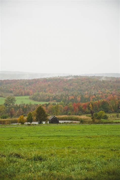 ORGANIC DAIRY FARMING // SPONSORED BY STONYFIELD - The Kitchy Kitchen