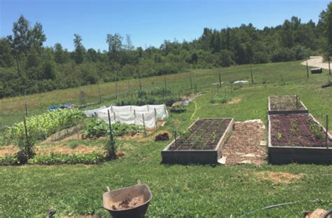 Maine Home Garden News - July 2019 - Cooperative Extension: Garden ...