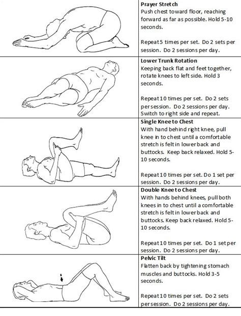 21 best Low Back Pain Exercises Patient Handout images on Pinterest ...