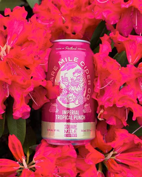 Square Mile Cider Releases Imperial Tropical Punch | BREWPUBLIC.com