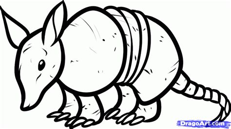 How to Draw an Armadillo, Step by Step, Rainforest animals ...