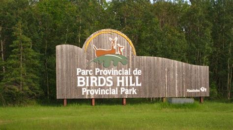 $22M Birds Hill Park Upgrade - Access Winnipeg