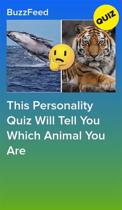 Which Animal Are You? | Spirit animal quiz, Animal quiz, Spirt animal quiz