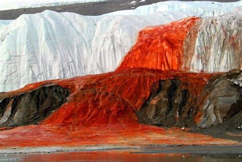 Bloody Waterfall in Antarctica, it is an outflow of an iron oxide ...