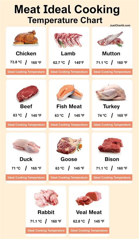 Food Temperature Chart Pdf Our Test Kitchens Meat Temperature Chart ...