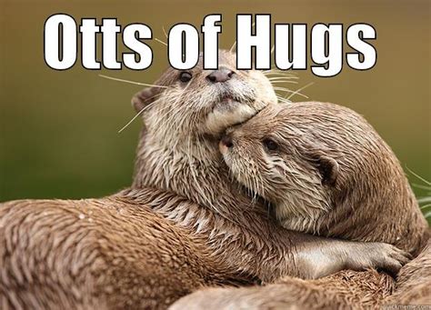 Otter Hugs - quickmeme