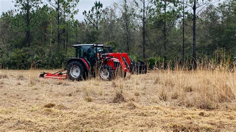 Land Clearing Levy County And Brush Hog Service