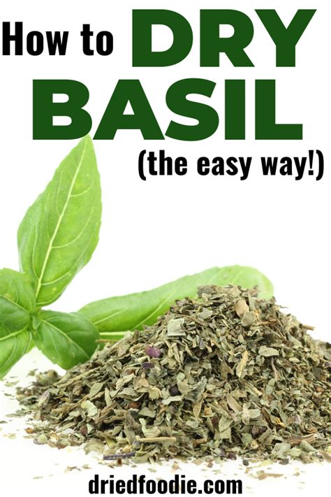 How to Dry Basil | How to dry basil, Dried basil leaves, Preserve fresh ...