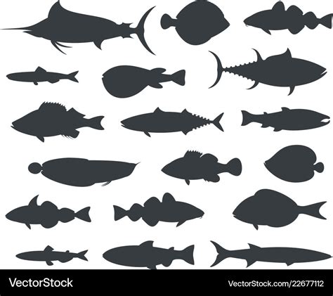 Fish silhouette Royalty Free Vector Image - VectorStock