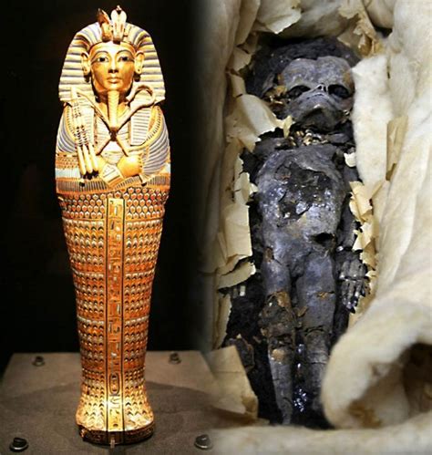 Kobe: Foetuses found in King Tutankhamun's tomb 'were his twin ...