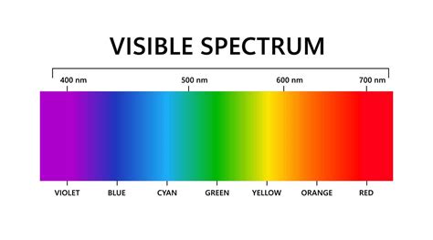 Visible light spectrum. Electromagnetic visible color spectrum for ...