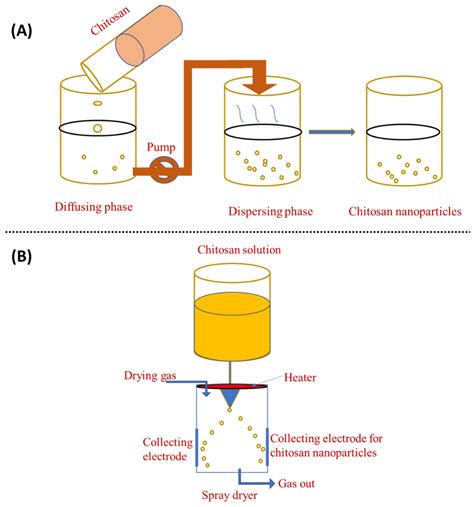 Production of Chitosan Nanoparticles | Encyclopedia MDPI