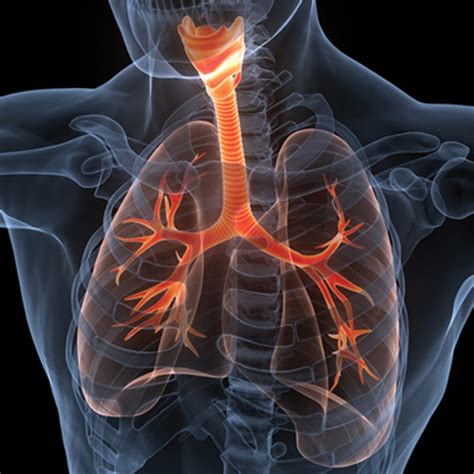 The Brigham Board Review and Comprehensive Update in Pulmonary Medicine