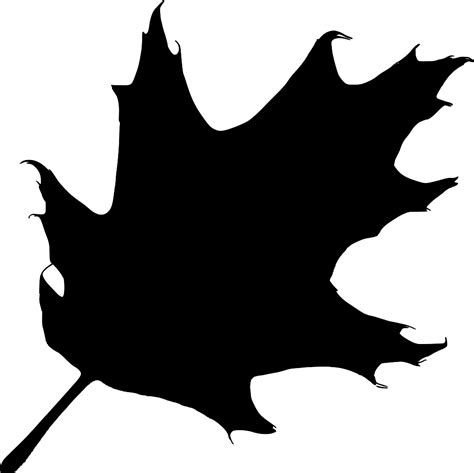 Oak Leaf Silhouette clip art | Clipart Panda - Free Clipart Images