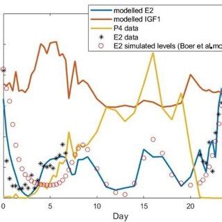 Chosen hormones during the estrous cycle. | Download Scientific Diagram