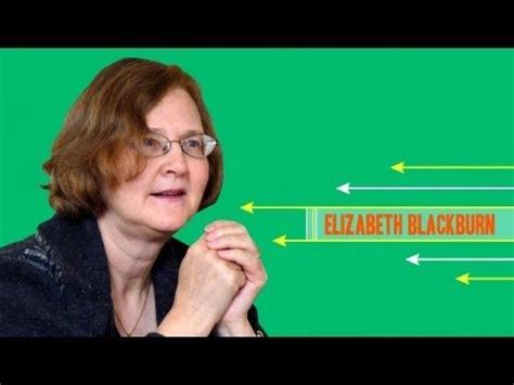 Elizabeth Blackburn, the Nobel Prize-winning Australian woman who ...