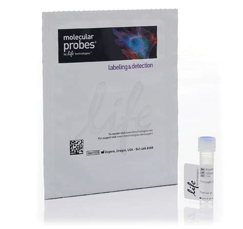 Invitrogen™ Alexa Fluor™ 488 Phalloidin | Fisher Scientific