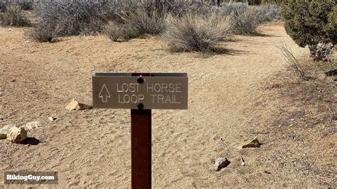 Lost Horse Mine Trail – HikingGuy.com