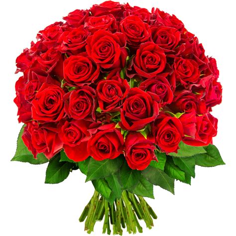 Beautiful Rose Bouquet – VitalCute