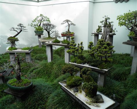 Bonsai garden design - Bonsai Empire