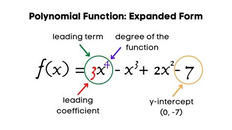 What is a Leading Coefficient: Understanding the Basics : The Pulse of ...