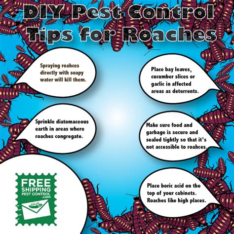 Some great DIY tips for roaches! | Diy pest control, Diy, Pest control