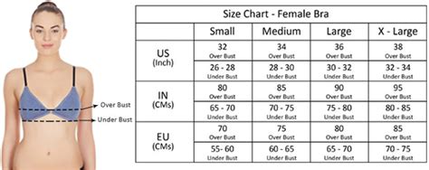 Bra size calculator in india - laderlook