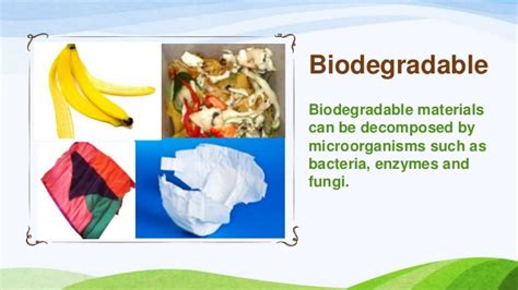 Biodegradable |Definition With Examples| Urdu Hindi, 44% OFF