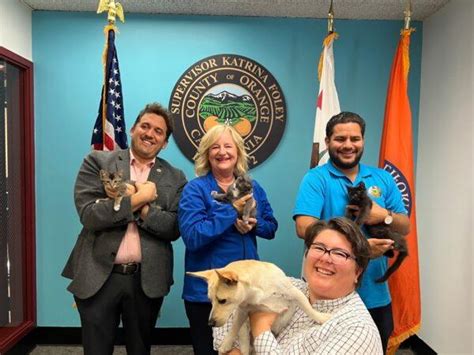 OC Animal Care Holds Free Adoption for 200 Pets | The Epoch Times