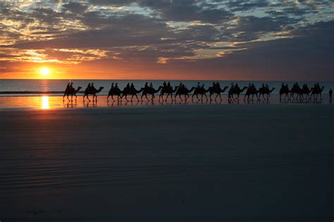 Sunset Camel Ride Cable Beach Broome Austraila - © CKoenig