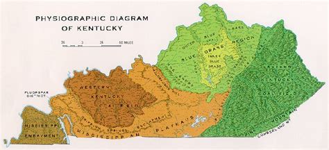 Daniel Boone National Forest - About the Area