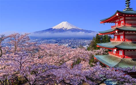 Japan Cherry Blossom Festival 2018: Where and When to Visit | Travel ...