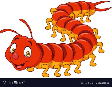 Cartoon centipede isolated on white background Vector Image | Cartoon ...