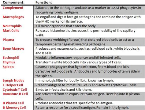 The Immune System - The Immune System