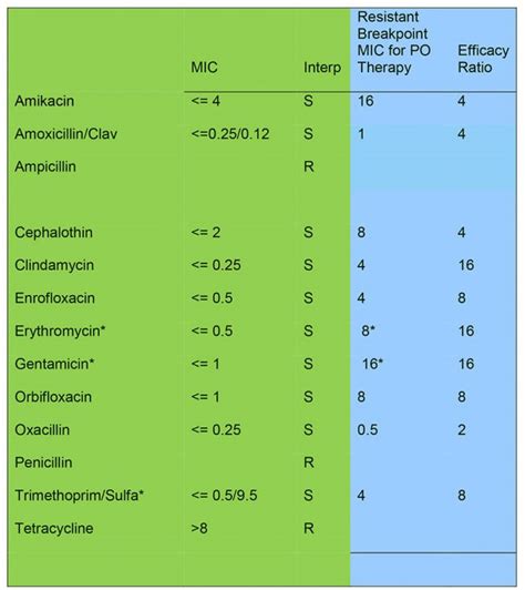 rehén zorro No hagas antibiotic concentration calculator los padres de ...