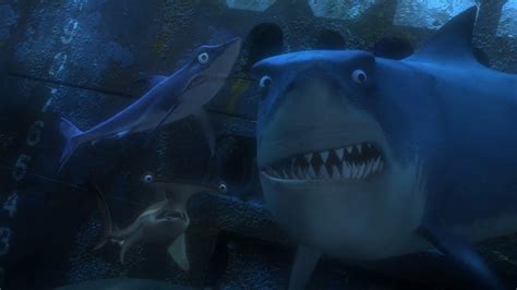 Image - Finding-nemo-disneyscreencaps.com-2808.jpg | Disney Wiki ...