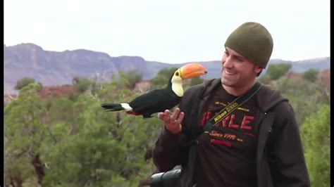 Freeflight Toco Toucan & Parrots | BirdTricks - YouTube