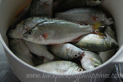 Backpacking Philippines: The Art of Eating Ayungin: Jose Rizal's ...