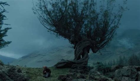 harry potter - Was the tree pictured in this scene the Whomping Willow ...