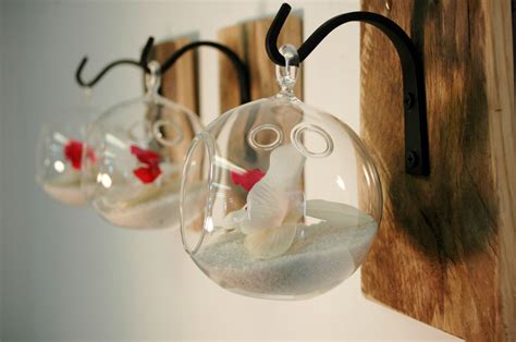 Individual Glass Globe Wall Decor each by PineknobsAndCrickets, $40.00 ...