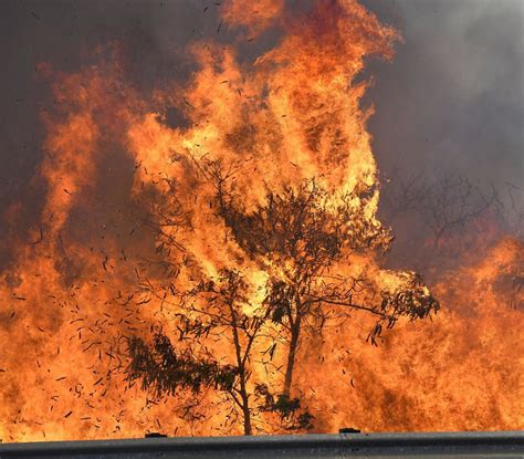 Raging fire in Maui forces evacuations | The Seattle Times