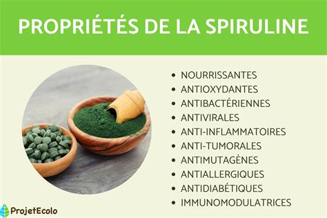 SPIRULINA: DEFINITION, PROPERTIES and BENEFITS – Archyde