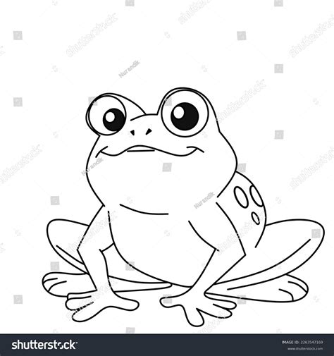 Frog Illustration Vector Isolated On White Stock Vector (Royalty Free ...