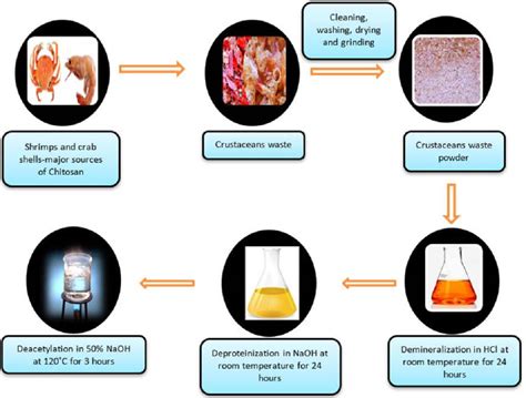 Polymers | Free Full-Text | Chitosan: A Sustainable Material for ...