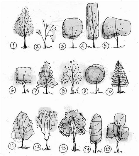 Tree top symbols. (2) | Architecture drawing art, Landscape ...