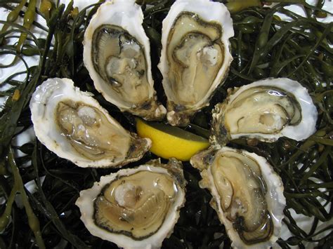 Irish Oysters