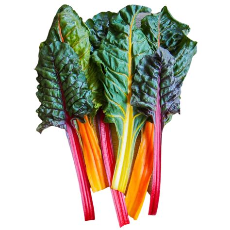 Chard - Rainbow - bunch